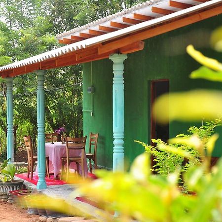 Organic Farm Wish Prabha Lake View Homestay Sigiriya Exterior foto