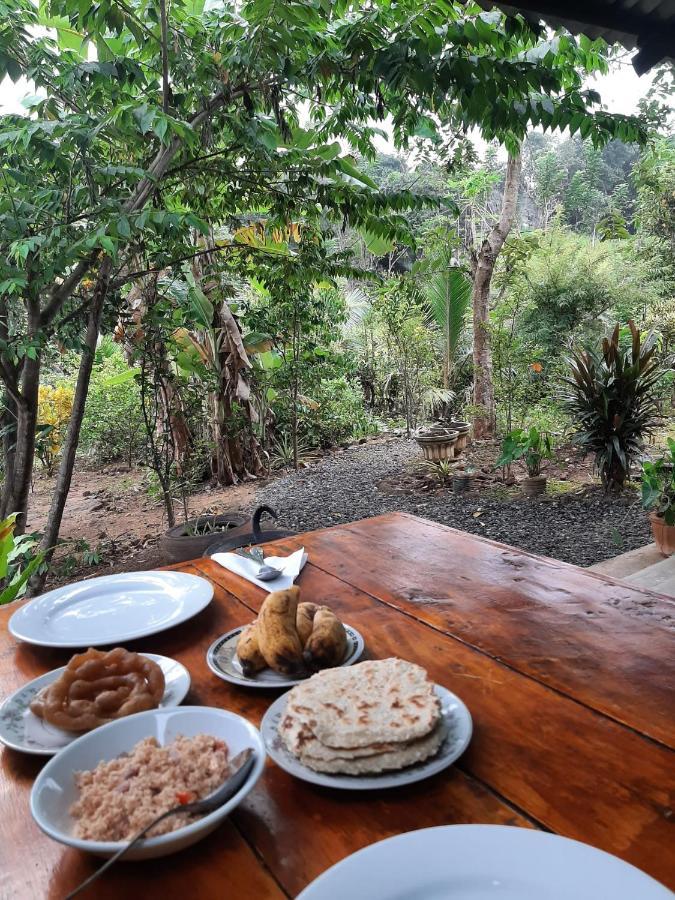 Organic Farm Wish Prabha Lake View Homestay Sigiriya Exterior foto