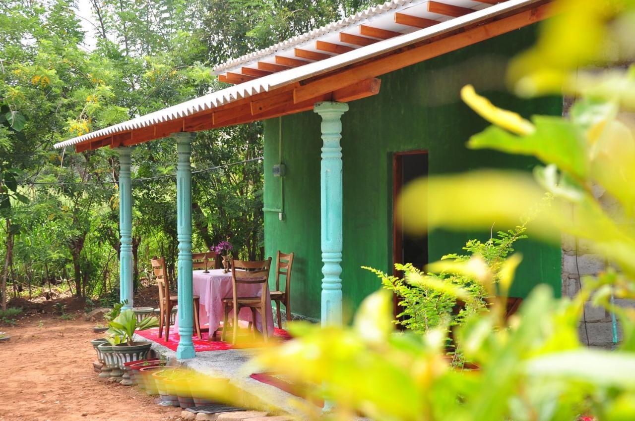 Organic Farm Wish Prabha Lake View Homestay Sigiriya Exterior foto