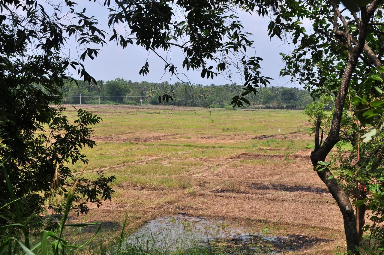 Organic Farm Wish Prabha Lake View Homestay Sigiriya Exterior foto