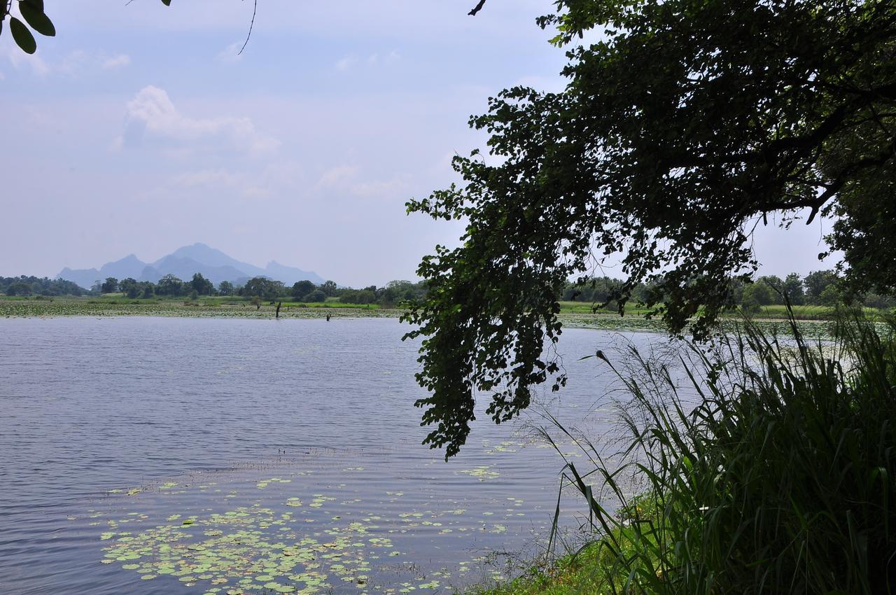 Organic Farm Wish Prabha Lake View Homestay Sigiriya Exterior foto