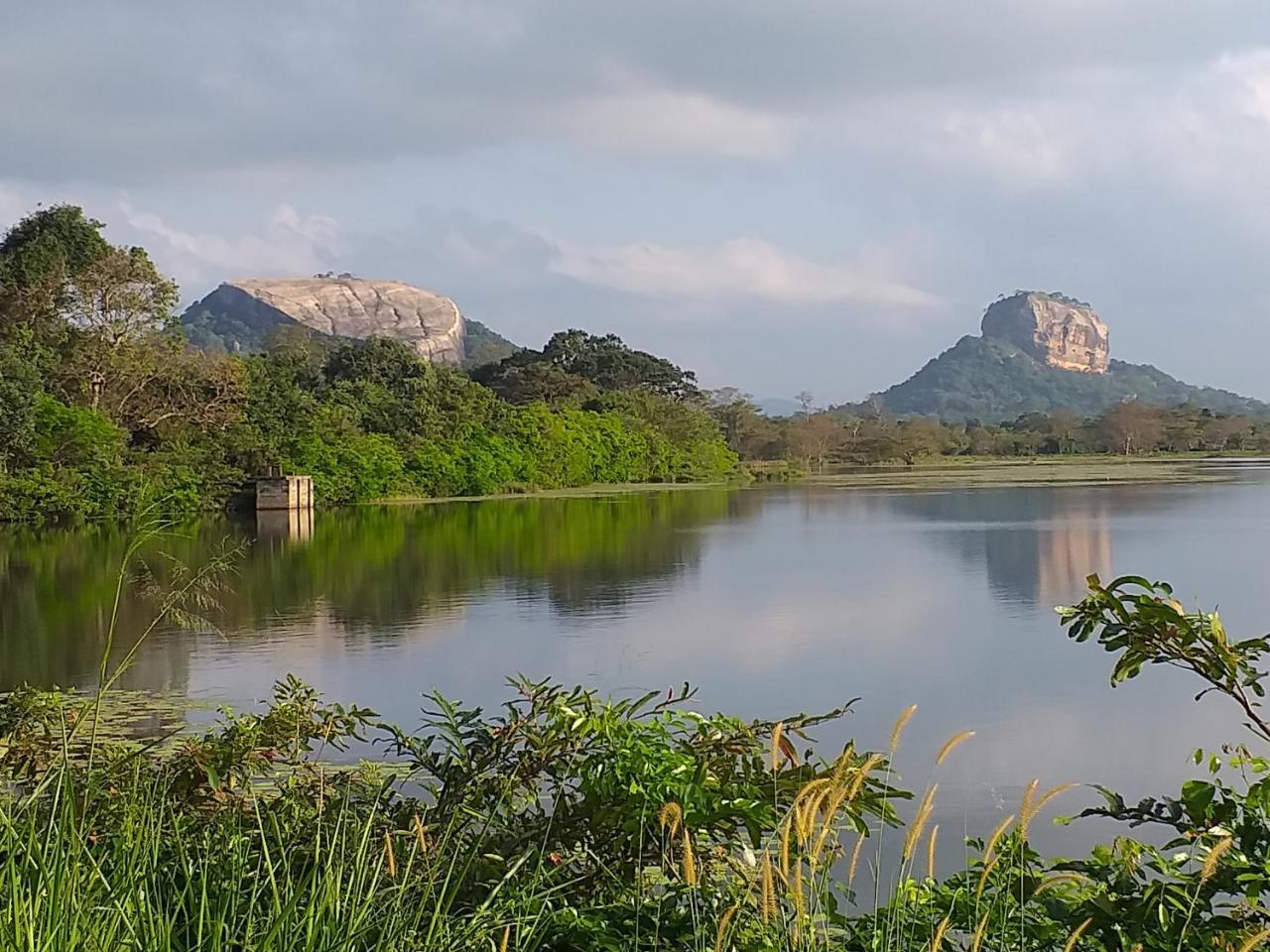 Organic Farm Wish Prabha Lake View Homestay Sigiriya Exterior foto