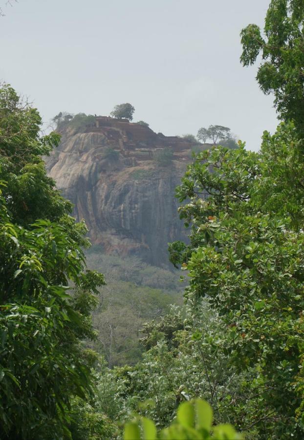 Organic Farm Wish Prabha Lake View Homestay Sigiriya Exterior foto