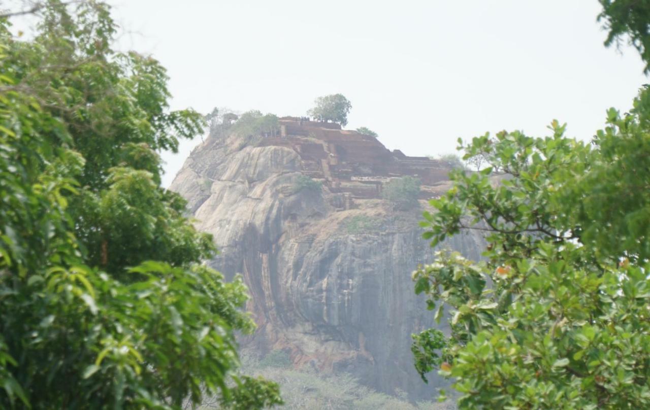Organic Farm Wish Prabha Lake View Homestay Sigiriya Exterior foto
